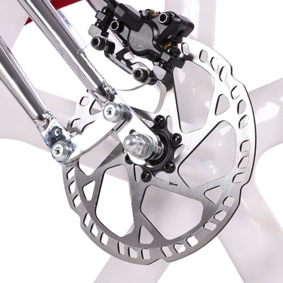 Tracer Raptor Pro DS 800W Stretch Cruiser Ebike
