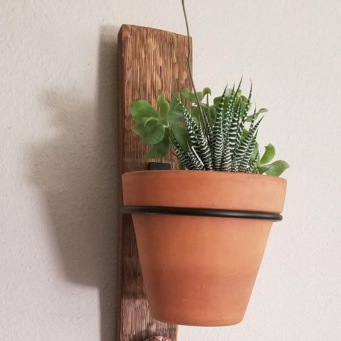 6 Pack 8in Flower Pot Holder Ring Wall Mounted Metal Planter Hooks Hangers Wall Bracket Wall Planter Hook (6, 8")