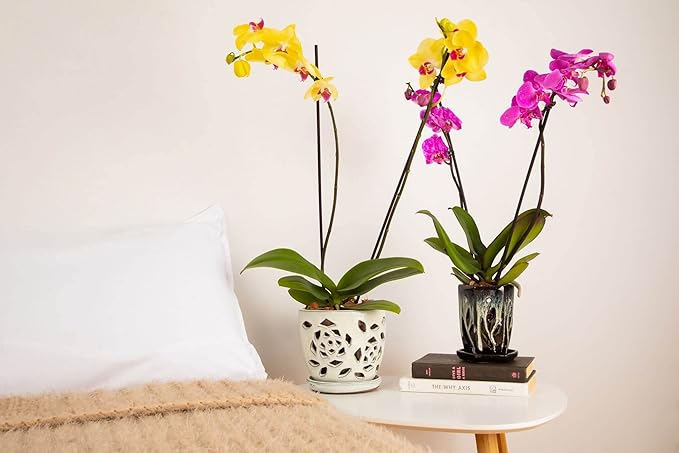 rePotme Orchid Pot - 5 inch Floral Cutout Ceramic Orchid Pot with Holes (Honey Cream Over Copper) - Includes 5 inch Slotted Pot Liner
