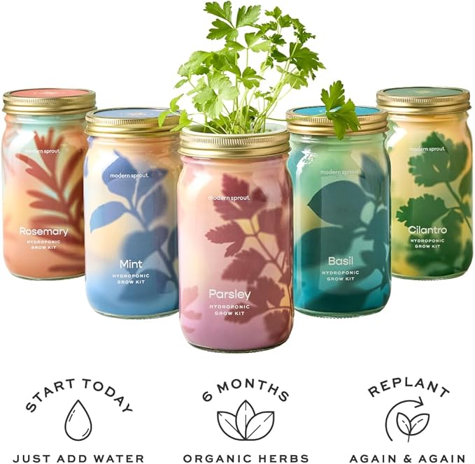 Modern Sprout Mason Garden Jar - Self-Watering Hydroponics Growing System Kit with Organic Herb Seeds - Jar Planter for Indoor Herb Garden - Seed Starter Kit - Home Decor & Gifting - Lavender