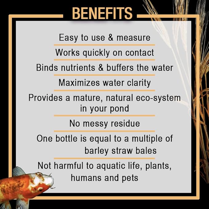 MICROBE-LIFT ALGA32 Algaway 5.4 Algae Control Treatment for Ponds and Water Gardens, 32 Ounces & MLCBSE1L Concentrated Barley Straw Extract Conditioner for Ponds and Outdoor Water Garden,32 Ounces