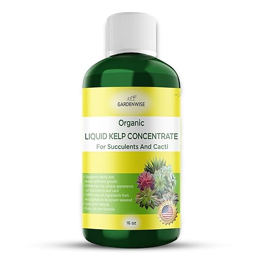 Organic Kelp Seaweed Fertilizer: Premium Succulent and Cactus Food - Indoor Plant Nutrition with Root Booster, Ideal for Christmas Cactus, Dragon Fruit, and Potted Plants (16 OZ)