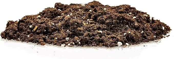 Premium Pothos Potting Soil Mix - Air Cleaning Plant Potting Mix, Soil Mix for Pothos, Parlor Palm, Peace Lily - (2 Quart Bag)