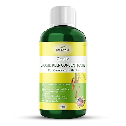 Organic Premium Kelp Seaweed Fertilizer: Indoor Plant Fertilizer & Carnivorous Plant Food for Venus Flytraps, Sundews, Drosera Capensis,Pitcher Plants,Butterworts & Other (32 OZ)