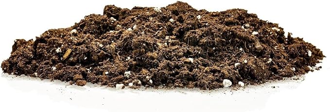 Premium Pothos Potting Soil Mix - Air Cleaning Plant Potting Mix, Soil Mix for Pothos, Parlor Palm, Peace Lily - (2 Quart Bag)