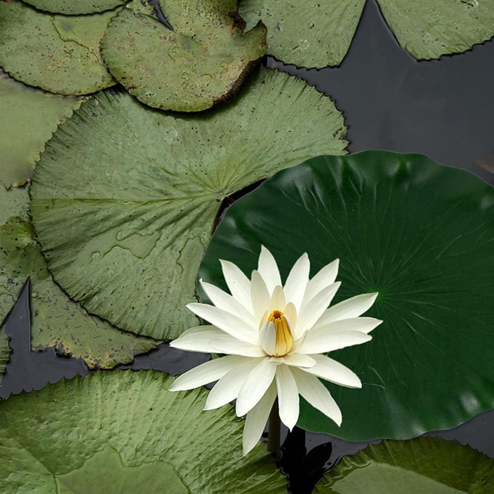 DOITOOL 3 Pcs Artificial Floating Foam Lotus Leaves 15.7 Inch Artificial Water Lily Pads Ornaments for Patio Fish Pond Pool Aquarium Decor, Green