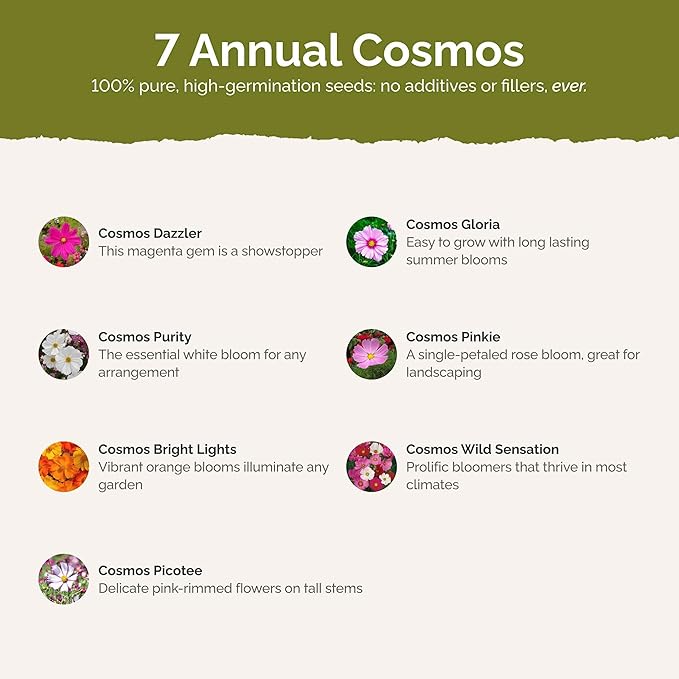 Eden Brothers Crazy for Cosmos Flower Mixed Seeds for Planting, 5 lb, 2,400,000+ Seeds with Cosmos Gloria, Pinkie, Purity | Attracts Pollinators, Plant in Spring or Fall, Zones 3, 4, 5, 6, 7, 8, 9, 10