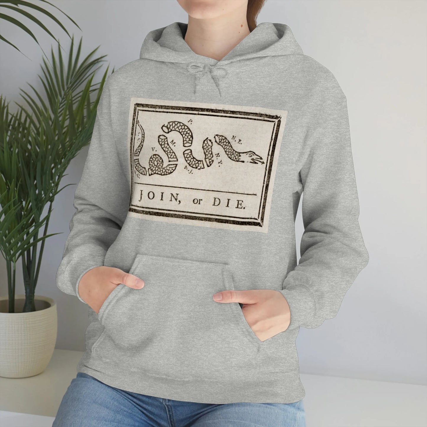 Join or Die Hoodie