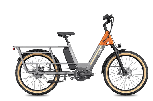 Letrigo Minivan Electric Bike