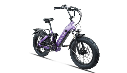 Bee Ranger Soft Tail Long Range Electric Bike