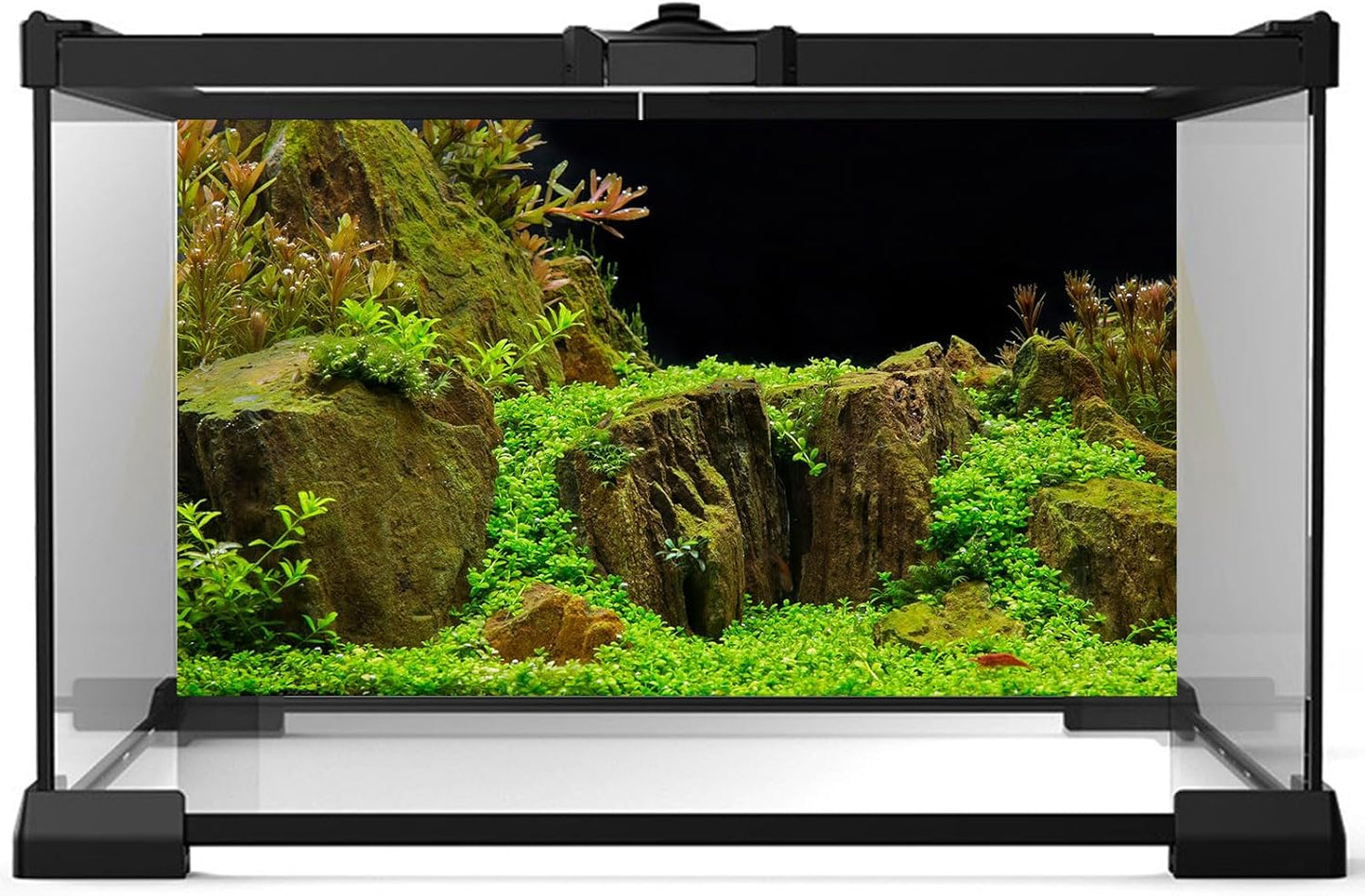 Aquarium Background Exquisite Underwater Grass with Moss Aquarium Backdrop Mysterious Stone Aquarium Background Durable Vivid and Fresh Leaves Background Tank Backdrop Decor Vinyl 48x20in