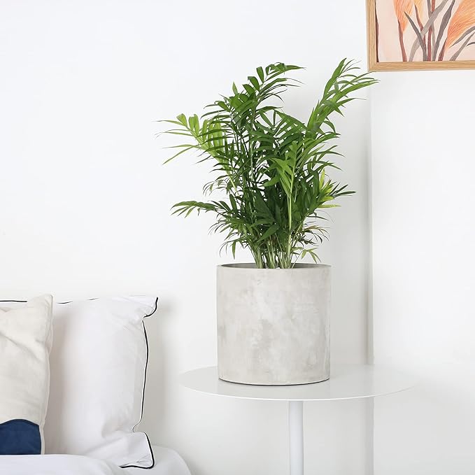 Plant Pots - 8.6 inch Cement Planters Indoor - Modern Grey Flower Pot with Drainage Hole - Home Office Decor
