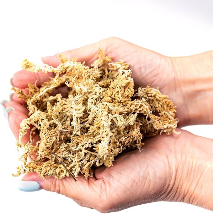 Premium New Zealand Sphagnum Moss - Organic Hand Mixed Long Fibered Sphagnum Moss Orchid - 5 Quart