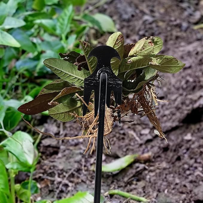 Stainless Weeding Artifact Uprooting Weeding Tool, Stainless Steel Forged Weed Puller 4 Teeth Dual Purpose Weeder, Hand Weeder Tool for Gardening with Long Handle (Black 2Pcs)