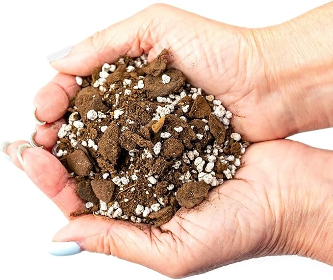 Palm Tree Potting Mix - The Ultimate Soil for Strong and Healthy Palms - Top Choice for Palm Tree Growers [2 Quart Bag]