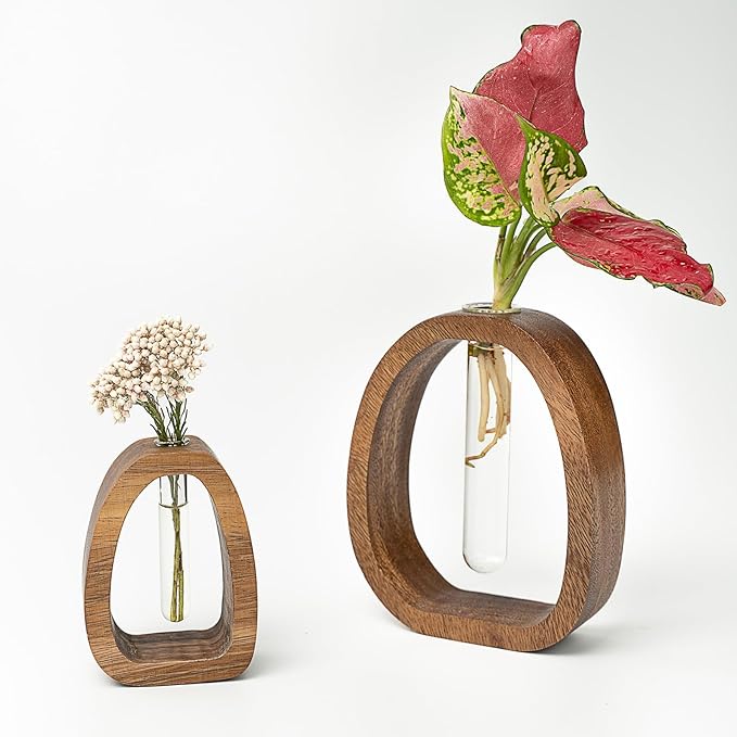 Solid Wood Frame Glass Test Tube Vase Desk Hydroponic Plant, Enhances Home and Office Environment, Small Size (Small)