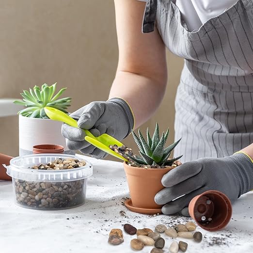 10 lbs Pebbles for Indoor Plants, Succulent, Bamboo, Vase, 3/8" Plant Rocks for Pots Indoor, Small River Rocks Decorative Pea Gravel, Highly Polished