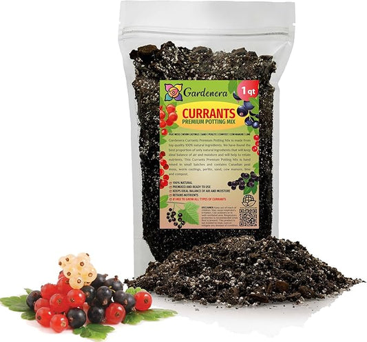 Premium Currant Plant Potting Soil Mix - Optimal Nutrient-Rich Blend for Thriving and Juicy Currants - 1 Quart