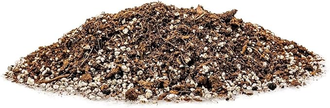 Spearmint Plant Potting Soil - Elevate Your Spearmint Garden with Professional Grade Nutrient-Rich Mix - 3 Quart