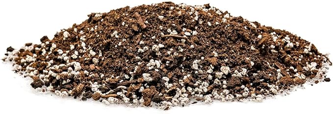 House Plant and Tropical Plant Potting Soil - Re-Potting Soil for All Types of Indoor House Plants - 10 Quart