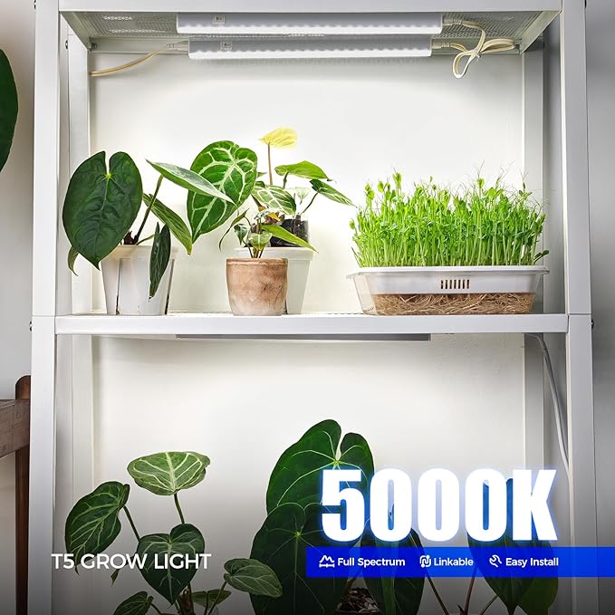 Barrina Grow Lights for Indoor Plants, 5000K White Full Spectrum Led Grow Light, 1ft Plant Grow Light, LED Grow Light, T5 Grow Light Strip, Plug and Play, 8-Pack