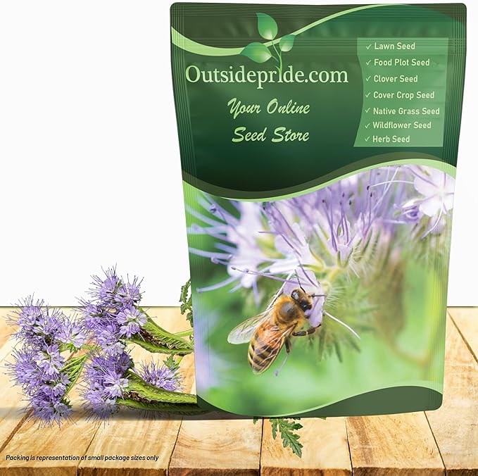 Outsidepride Lacy Phacelia Seeds for Planting - 1/4 Lb Annual, Drought-Tolerant Wildflower Seeds with Light Violet Flowers, Ideal for Pollinator Gardens, Erosion Control, & Attracts Bees & Butterflies