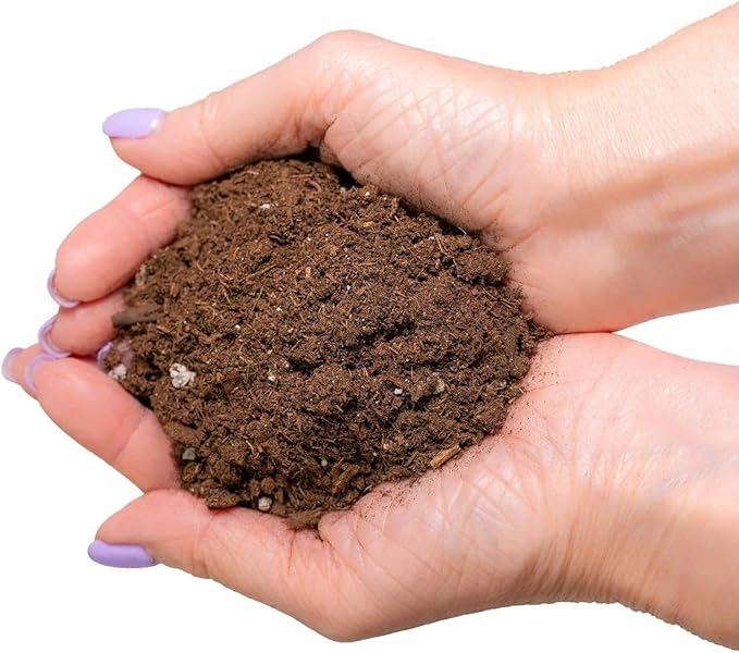 Premium Pothos Potting Soil Mix - Air Cleaning Plant Potting Mix, Soil Mix for Pothos, Parlor Palm, Peace Lily - (2 Quart Bag)