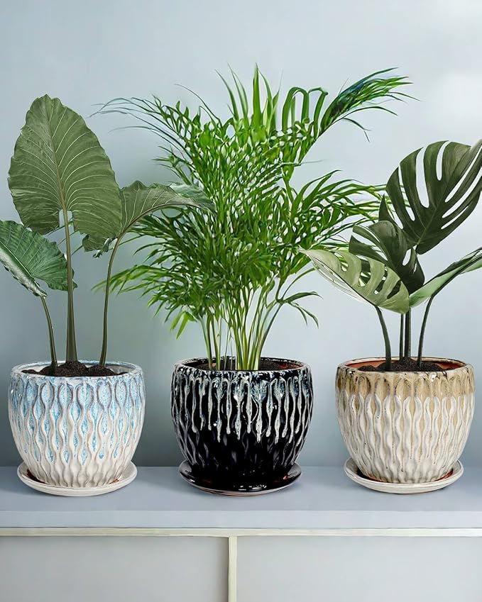 vensovo 7.5 Inch Ceramic Plant Pot with Drainage Holes and Saucer - Large Round Orchid Pot for Indoor Repotting, Ceramic Planter Maintain Air Circulation, Yellow