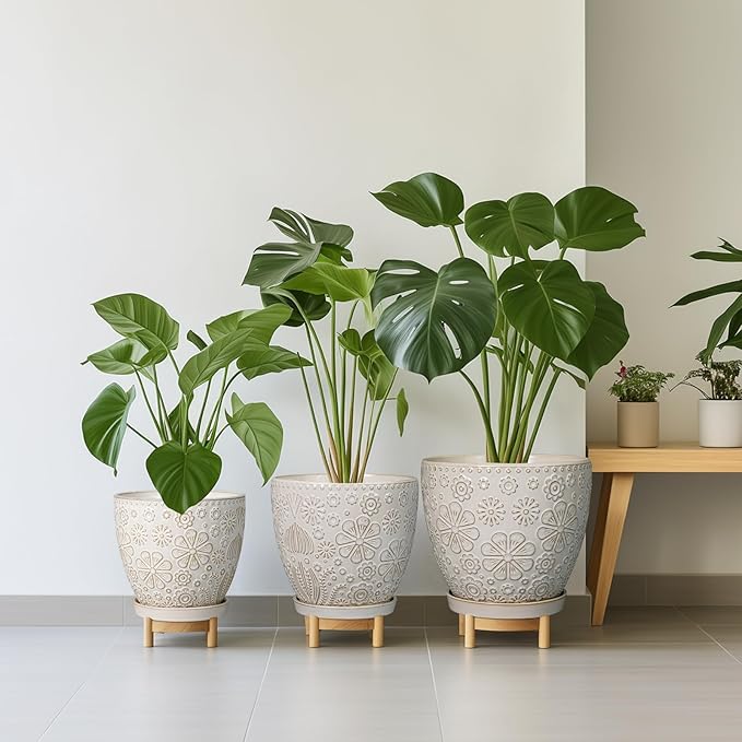6 Inch Plant Pot with Drainage Hole and Saucer Ceramic Planter for Indoor Plant Flower Pot for Orchid Succulents Plants White