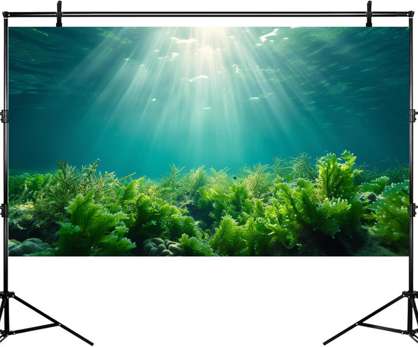 Deep Ocean Fish Tank Background Under The Sea Aquatic Plants Aquarium Background Underwater Corals Sunray Terrarium Backgrounds Tropical Fish Ocean World Aquarium Backgrounds Decorations 24x12in