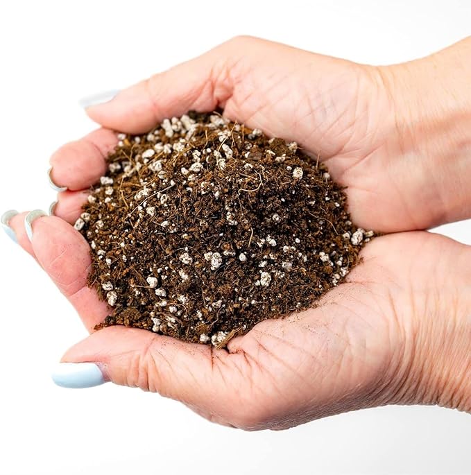 Organic Potting Soil for Tomato Plants - 5 Quart - Hand-Mixed with Natural Ingredients for Optimal Growth and Nutrient Retention