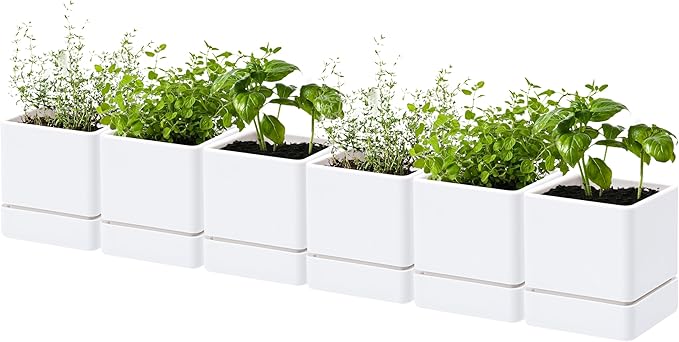 4 Inch Herb Planter Pot, Plastic Planter with Drainage Holes and Saucer, Modern Decorative Gardening Pot for Indoor Plants, Flowers, Herbs, Succulents, White, Set of 6, 76-Y-A-6