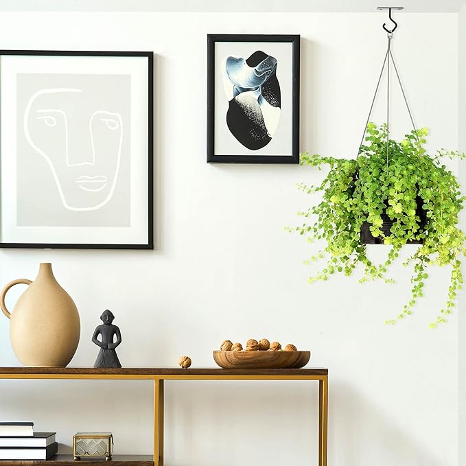 AJART Ceiling Hooks for Hanging Plants: Iron Plant Hanger for Wall Mount - 4 Pack/2.5 Inch Ceiling Hook for Indoor Use