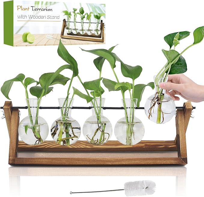 Plant Propagation Station, Propagation Vases for Plants, Unique Gardening Birthday Gifts for Women Plant Lovers Mom Best Friend - 5 Bulb Glass Vases