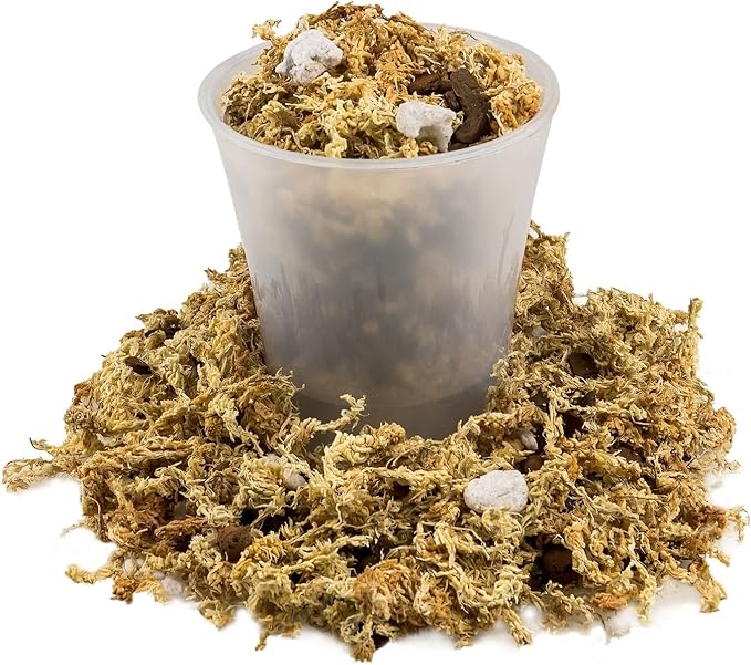 Premium Phalaenopsis Imperial Orchid Potting Mix - Hand Mixed in Small Batches | Great for Phalaenopsis of All Kinds - by GARDENERA - 20 Quart