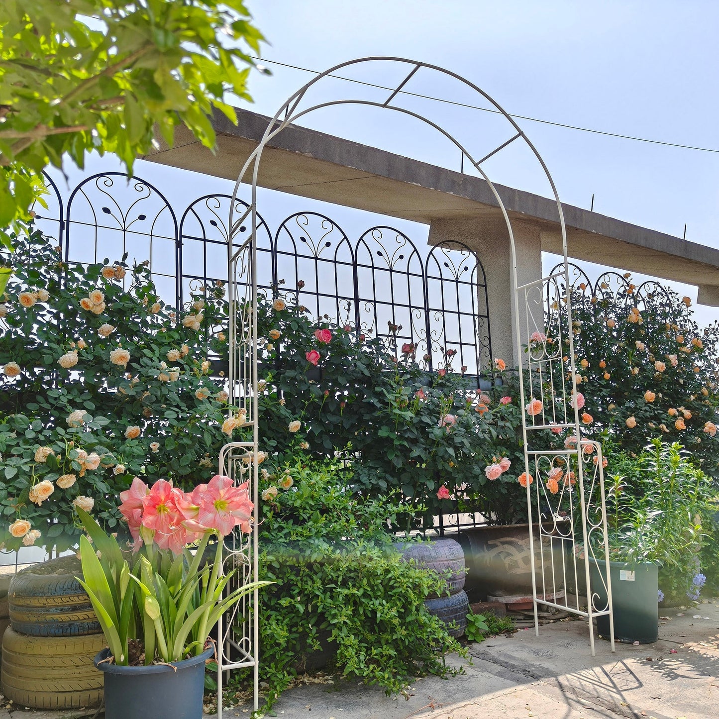 Metal Garden Arch W55'' x H94.5'' - Cream White Outdoor Arbor