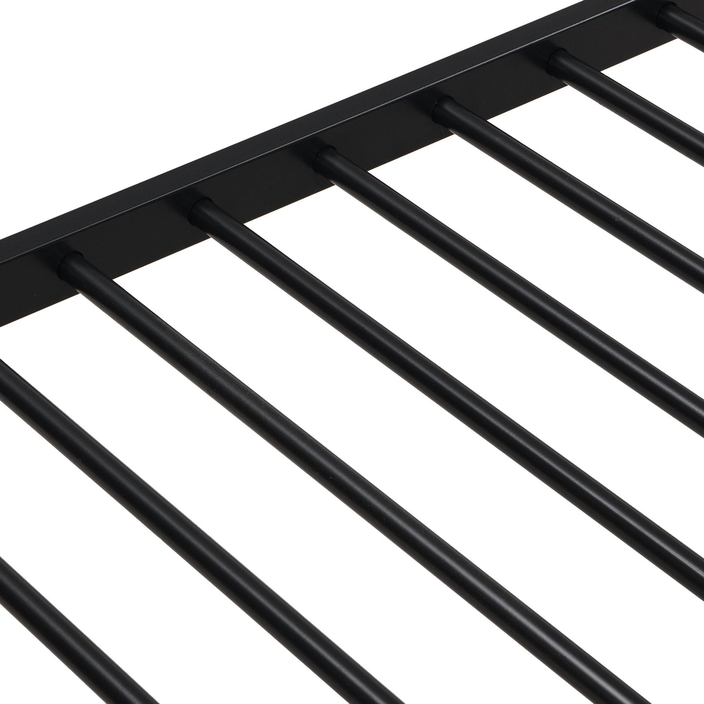Modern Metal Bunk Bed