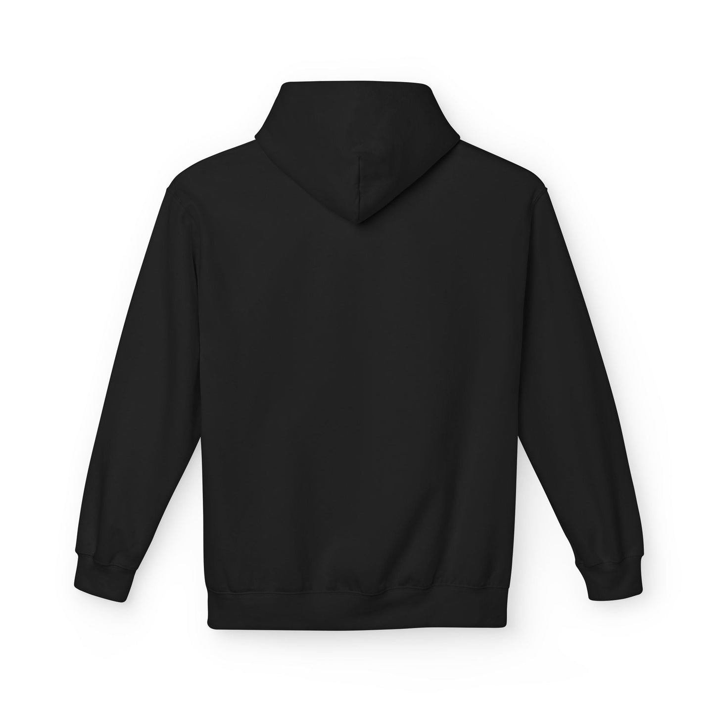 Divided States Hoodie