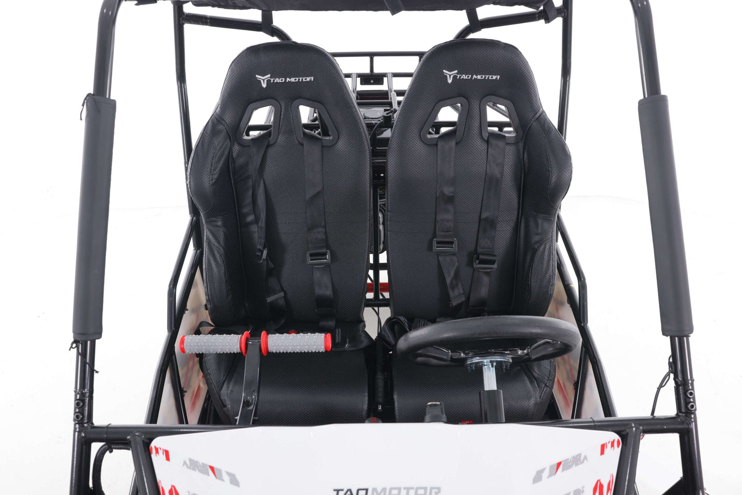 Tao Motor Baja Sport 200 Adult Go-Kart - Large-Sized Go Kart 170cc