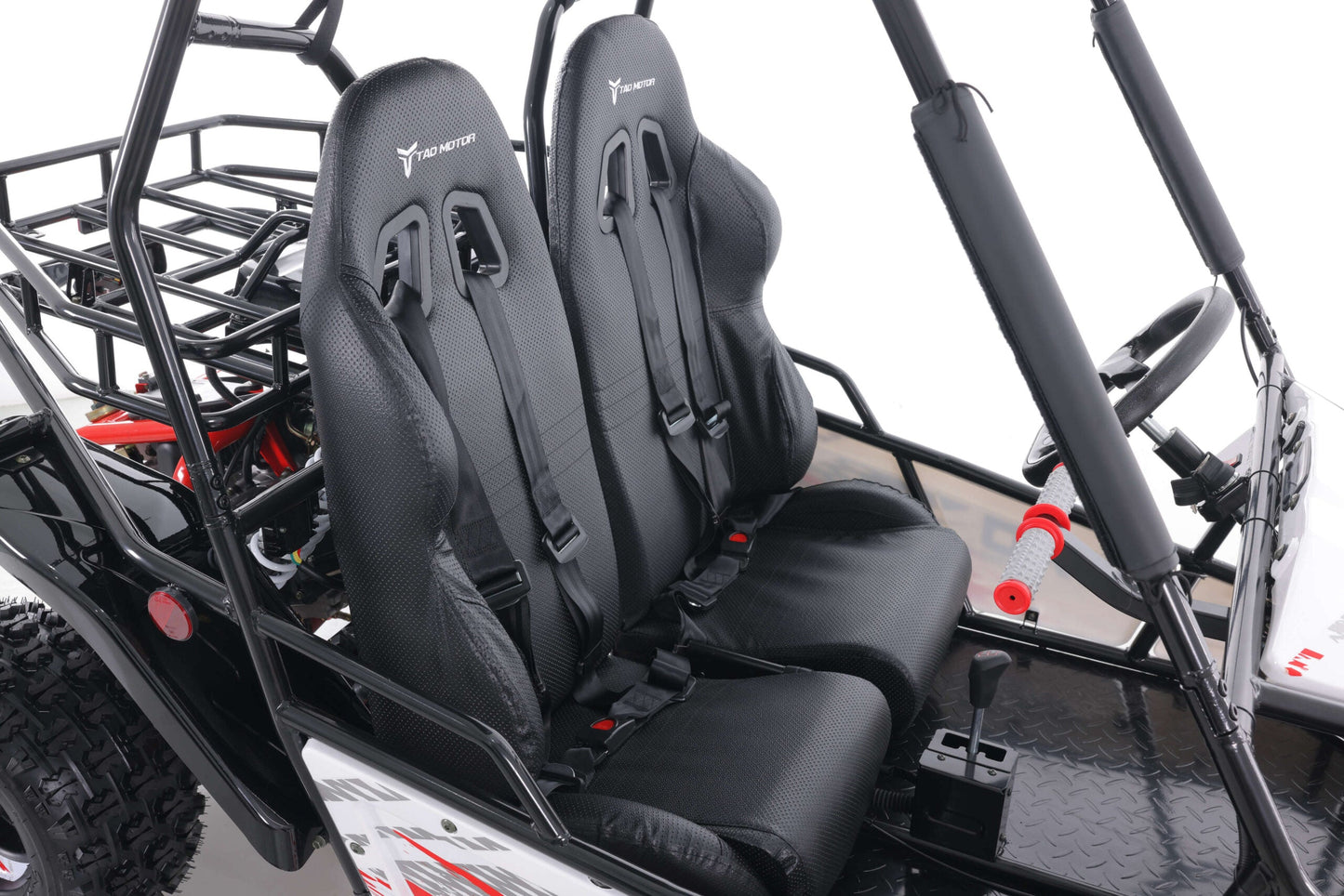 Tao Motor Baja Sport 200 Adult Go-Kart - Large-Sized Go Kart 170cc