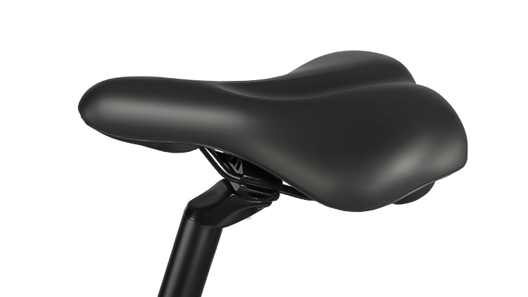 Rattan Pathfinder 750W Step-Over Fat Tire Electric Bike