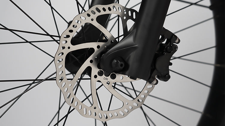 Rattan Pathfinder 750W Step-Over Fat Tire Electric Bike