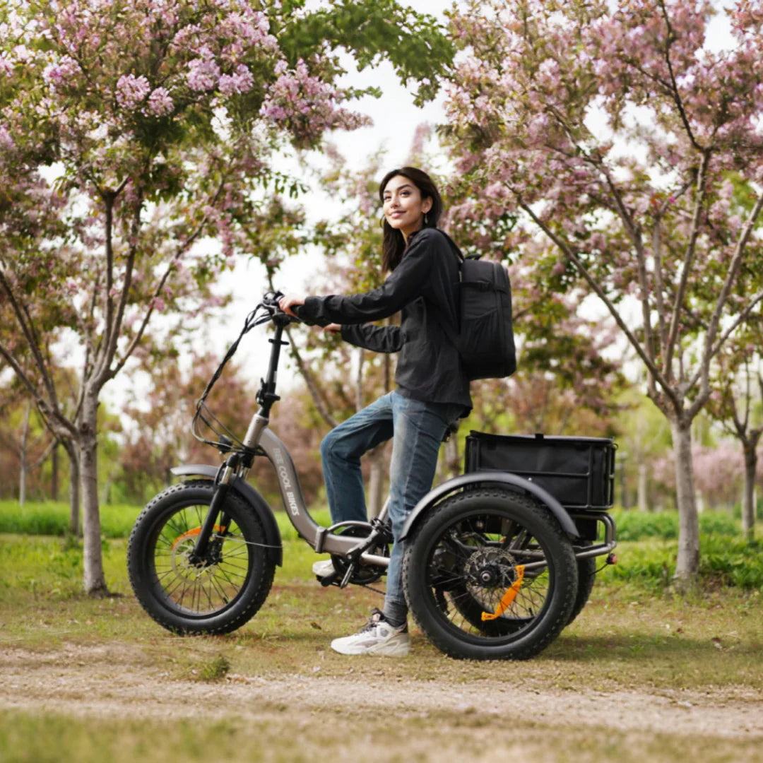 Bee Zipper Foldable Long Range Electric Trike