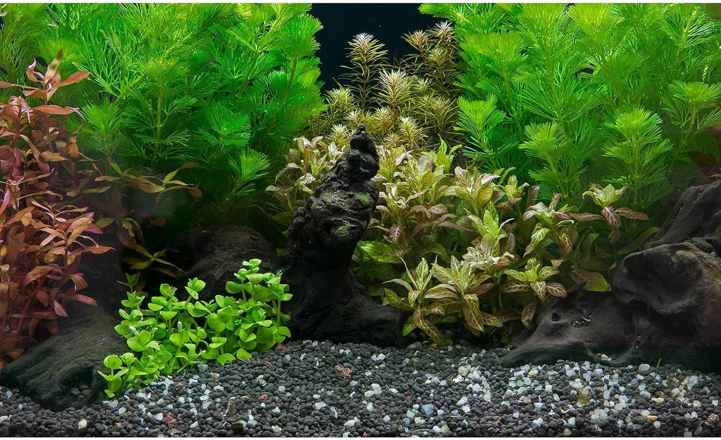 Aquarium Background Exquisite Underwater Grass Leaves with Pebbles Aquarium Backdrop Vivid Green Aquatic Plant Stone with Dead Woods and Fresh Leaves Tank Background Decors Vinyl 24x12in