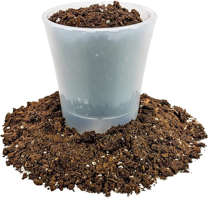 Money Tree Potting Soil, Soil Mix for Planting or Repotting Guiana Chestnut, Soil Blended to Properly Grow Money Tree Plants - (1 Quart Bag)