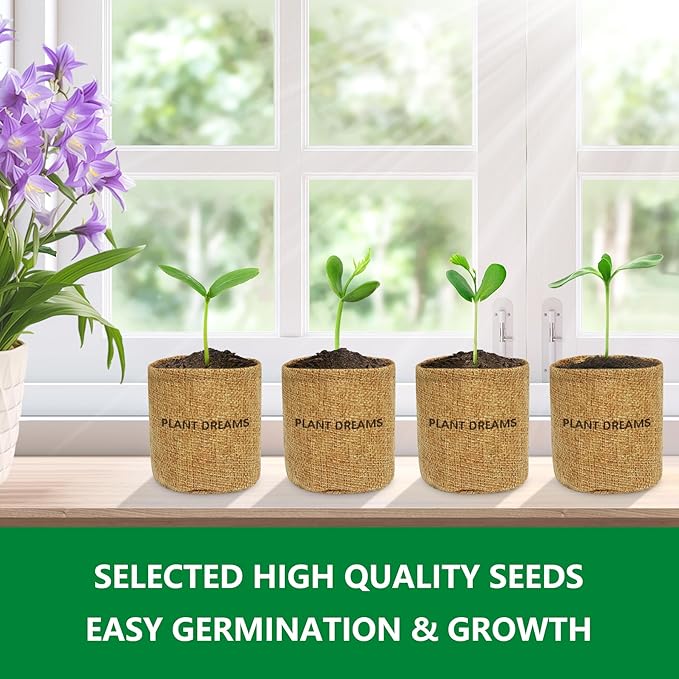 Bonsai Tree Kit – DIY Japanese Bonzai Trees with All-in-One Indoor Plant Growing Tools & Planters – Unique Gardening Gifts for Women, Men & Kids
