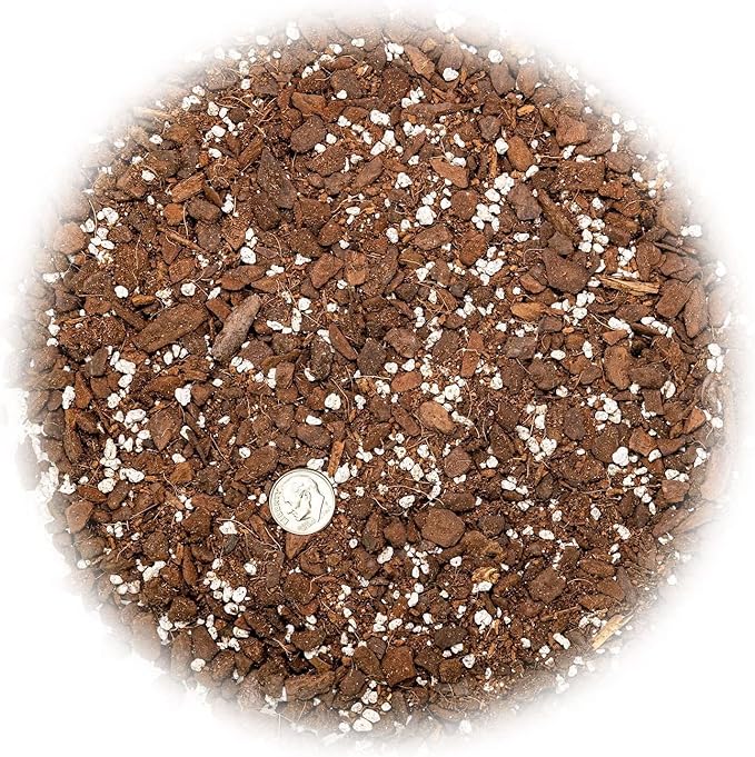 Expertly Formulated Monstera Obliqua Soil Mix - Strong and Healthy Roots by Gardenera - 2 Quart