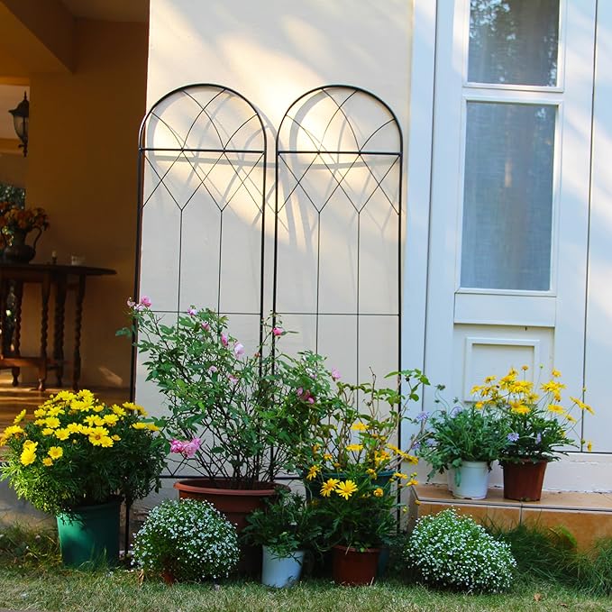 Garden Trellis for Climbing Plants Outdoor 2 Pack 59" H x 15.9" W Unique Design Metal Trellis for Cucumber, Tomatoes, Vines, Flower Beds, Roses - Rust Proof Iron