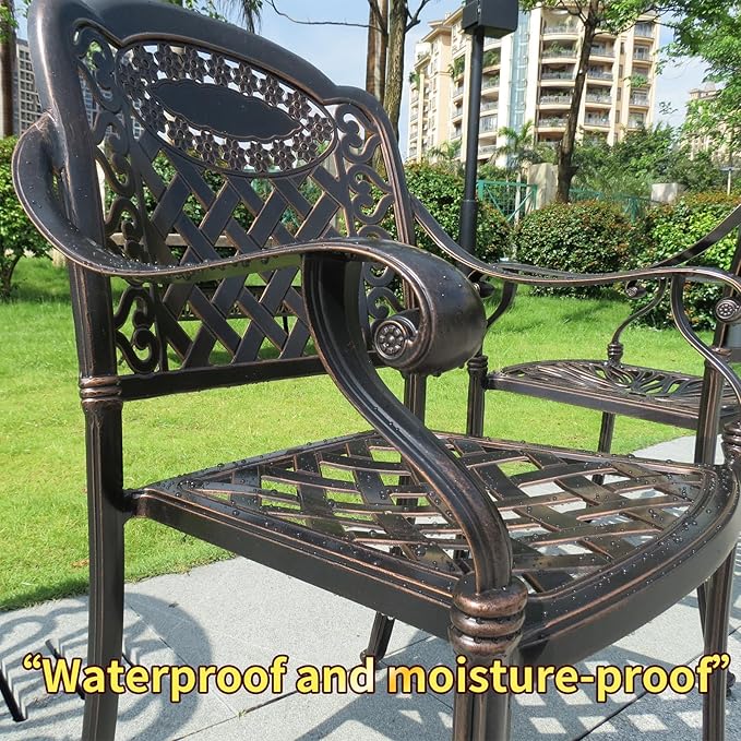 Outdoor Dining Chair Cast Aluminum Patio Chairs Set of 2 All-Weather Patio Dining Chair with Adjustable Feet for Backyard Garden (YLSB Chair)