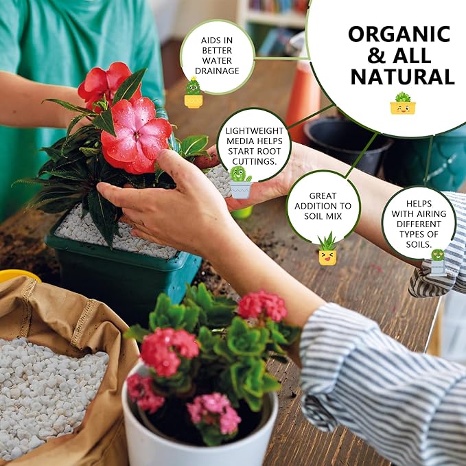 50QT Horticultural Perlite Bulk, Organic Perlite for Plants, Course Perlite for Gardening, for Plants Indoor, for Houseplants, to Promotes Soil Root Growth, and Water Drainage and Plant Growth(3-6mm)